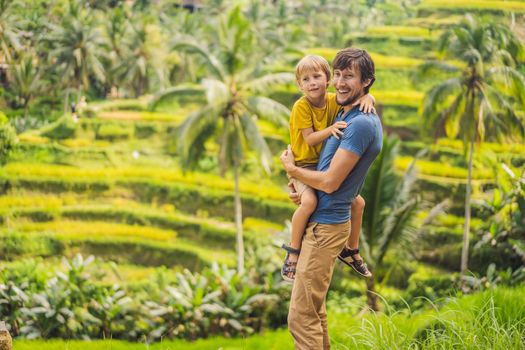 Dad and son travelers on Beautiful Rice Terraces against the background of famous volcanoes in Bali, Indonesia Traveling with children concept.