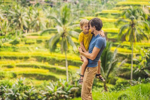 Dad and son travelers on Beautiful Rice Terraces against the background of famous volcanoes in Bali, Indonesia Traveling with children concept.