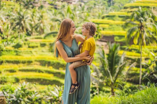 Mom and son on the rice field in the background of rice terraces, Ubud, Bali, Indonesia. Traveling with children concept. Teaching children in practice.