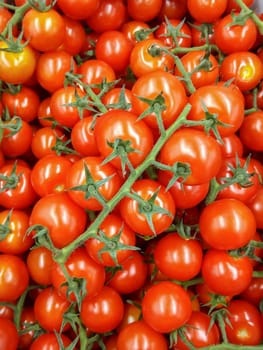 Background of beautiful and red tomatoes. Beautiful and large background and view of a large number of red beautiful and ripe tomatoes.