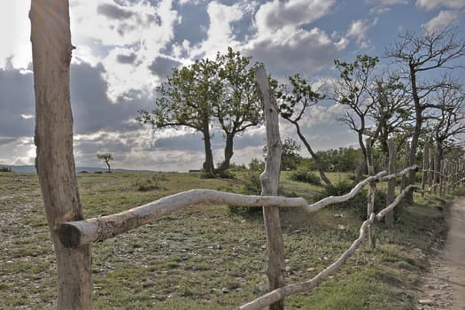 Linear perspective of a rustic fence, with trees growing behind it. Rural landscape with a fence in the mountains of Dagestan, near the Sulak Canyon.