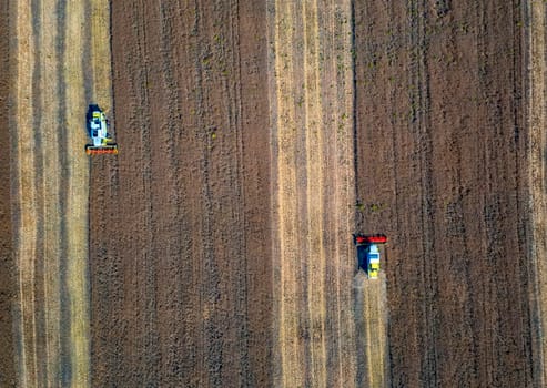 Harvesting time. Agricultural industry. Aerial view of combine harvester in field. Top view