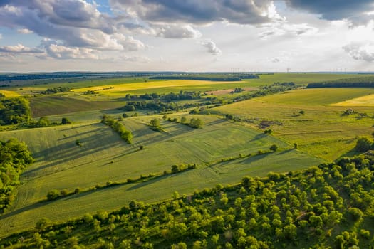 Aerial view from drone of a beautiful fresh green rural scene at summer