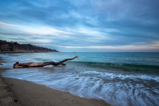 Seascape. Idyllic long exposure sunset view with the old tree at the beach