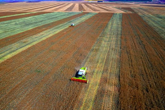 Harvesting time. Agriculture. Agricultural industry. Aerial view of combine harvester in field