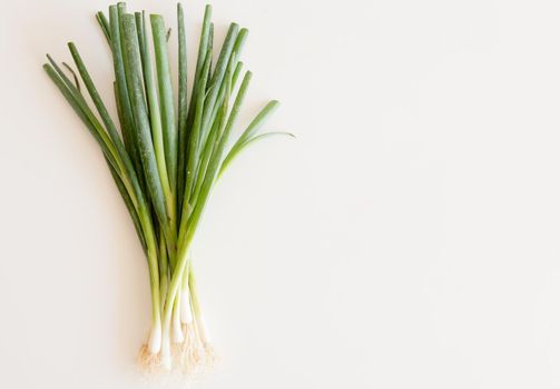 High angle view of spring onions on white table with copy space to right
