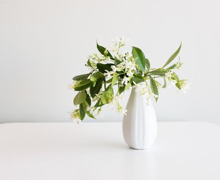 Star jasmine in small white vase on table against neutral background