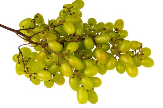 Bunch of ripe table grapes, on white background isolated
