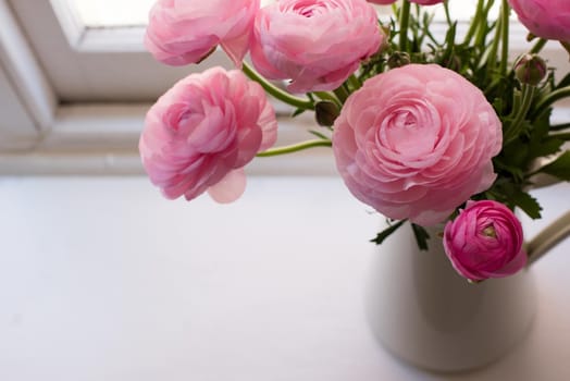 High angle close up of pink ranunculus in white jug on window sill  (selective focus)