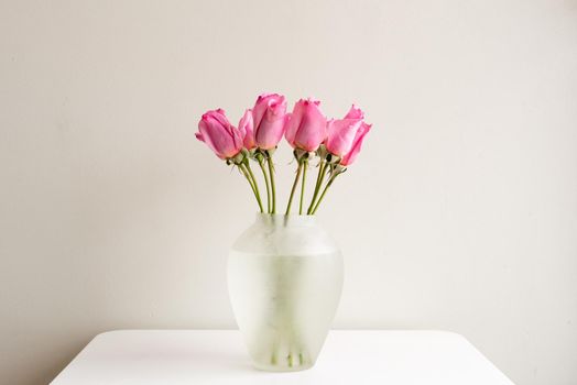 Pink roses in glass vase on white table against neutral background