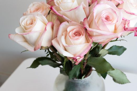 Close up of pink and cream roses in glass vase on white table (cropped and selective focus)