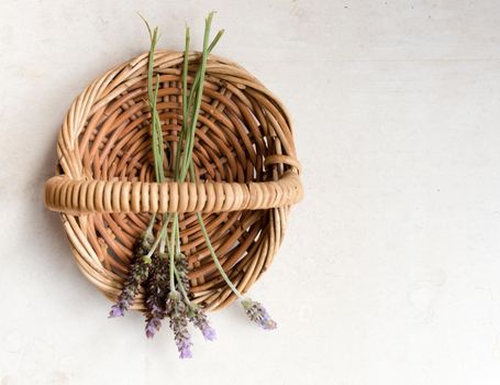 Top down view of small bunch of lavender in small wicker basket on neutral limestone background with copy space to right (selective focus)