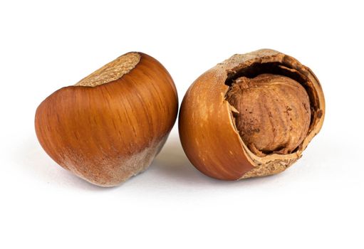 hazelnut, hazelnut whole and partially shelled, on a white background with shadow isolated