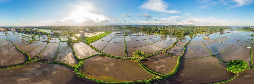 Rice Terrace Aerial Shot. Image of beautiful terrace rice field.