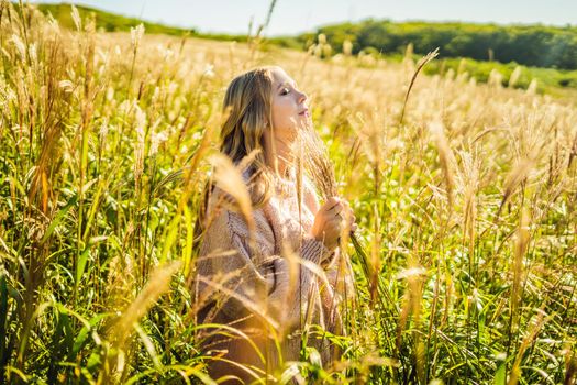 Young beautiful woman in autumn landscape with dry flowers, wheat spikes. Fashion autumn, winter. Sunny autumn, Cozy autumn sweater. fashion photo.