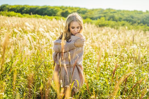 Young beautiful woman in autumn landscape with dry flowers, wheat spikes. Fashion autumn, winter. Sunny autumn, Cozy autumn sweater. fashion photo.