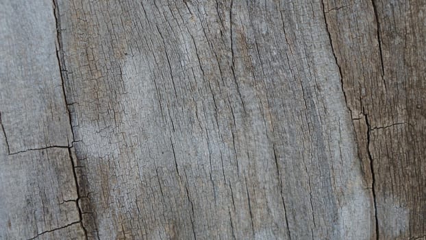 Texture, background, surface of old wood, all in cracks