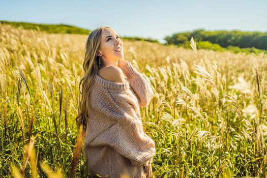 Young beautiful woman in autumn landscape with dry flowers, wheat spikes. Fashion autumn, winter. Sunny autumn, Cozy autumn sweater. fashion photo.