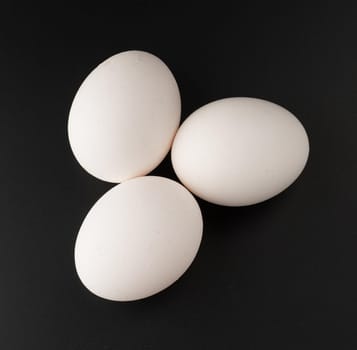 chicken eggs on black background