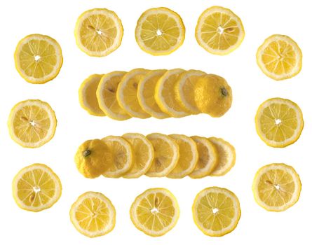 Collage of ripe lemon fruit cut into equal parts and laid out in rows on a white background
