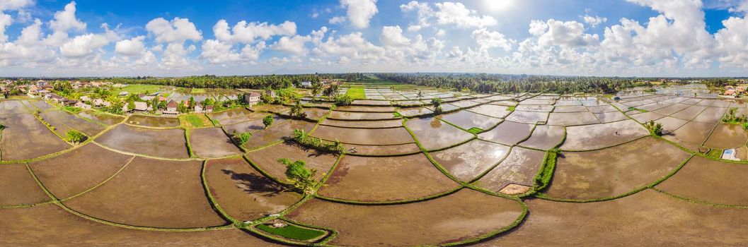 Rice Terrace Aerial Shot. Image of beautiful terrace rice field.