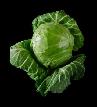Head of green young fresh cabbage with loose leaves on black background