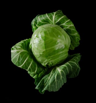 Head of green young fresh cabbage with loose leaves on black background