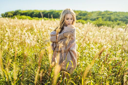 Young beautiful woman in autumn landscape with dry flowers, wheat spikes. Fashion autumn, winter. Sunny autumn, Cozy autumn sweater. fashion photo.