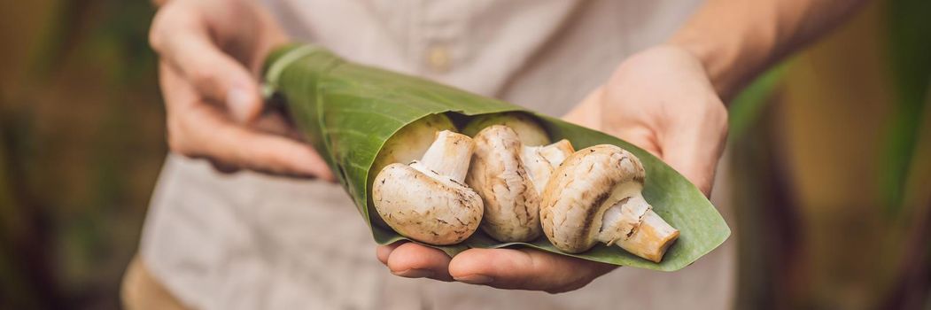 BANNER, LONG FORMAT Eco-friendly product packaging concept. Mushrooms wrapped in a banana leaf, as an alternative to a plastic bag. Zero waste concept. Alternative packaging.