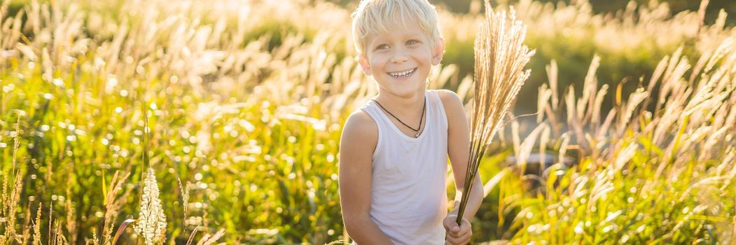 Beautiful happy smiling little boy among the cornfields touching plants with his hands. BANNER, LONG FORMAT