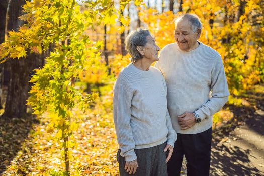 Happy senior citizens in the autumn forest. family, age, season and people concept - happy senior couple walking over autumn trees background.