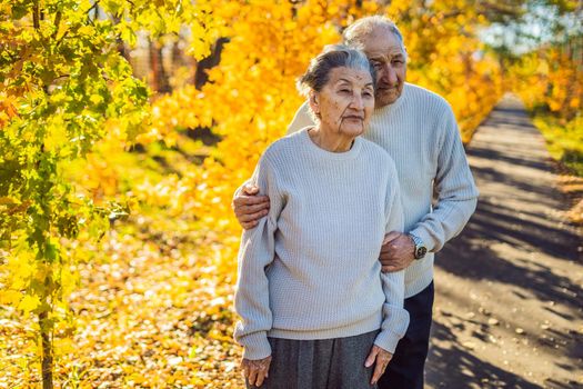 Happy senior citizens in the autumn forest. family, age, season and people concept - happy senior couple walking over autumn trees background.