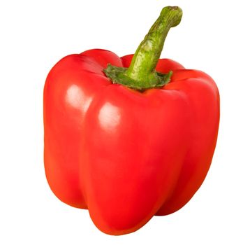 One whole red bell pepper on a white background in isolation