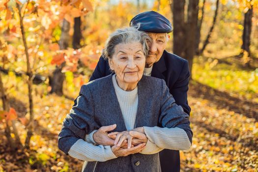 Happy senior citizens in the autumn forest. family, age, season and people concept - happy senior couple walking over autumn trees background.