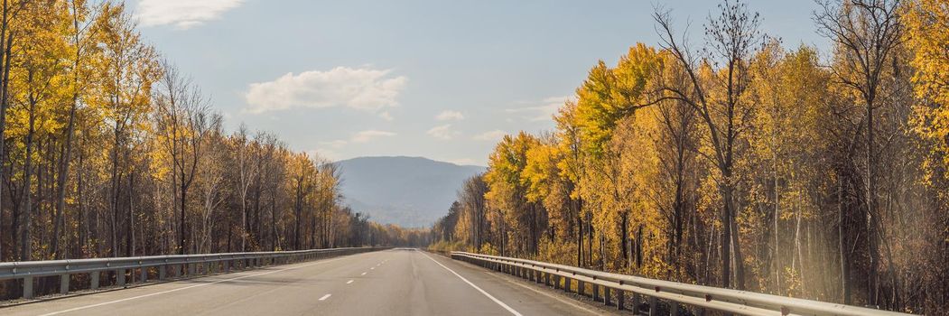 BANNER, LONG FORMAT Amazing view with colorful autumn forest with asphalt mountain road. Beautiful landscape with empty road, trees and sunlight in in autumn. Travel background. Nature.