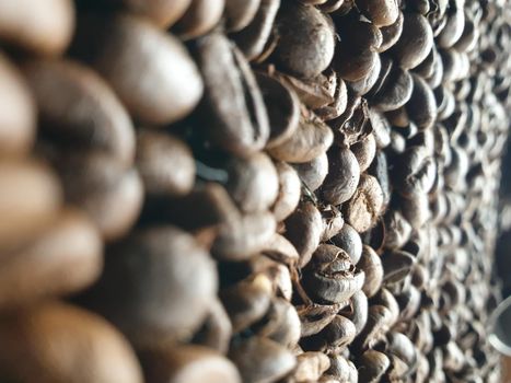 Close-up of roasted and aromatic coffee beans. Great flavor and aroma