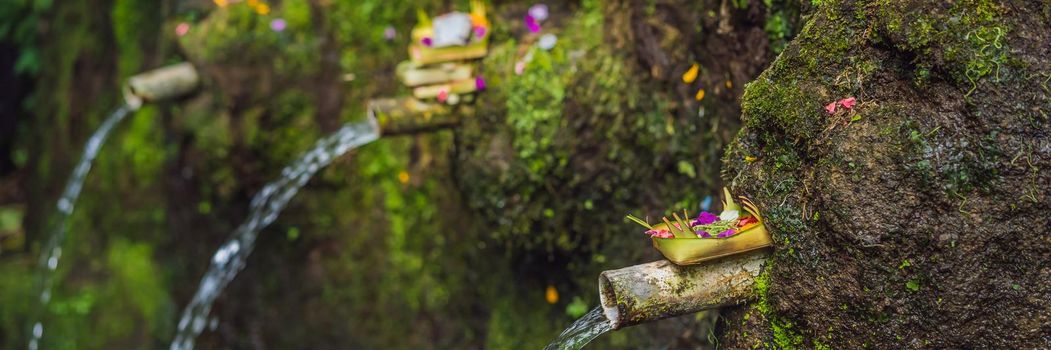 Daily offerings - canang sari is very important in Bali, Indonesia. BANNER, LONG FORMAT