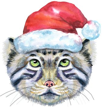 Watercolor drawing of the animal - cat manul in Santa hat, sketch