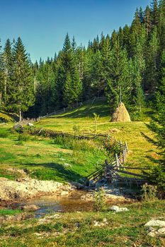 Rustic landscape with green forest background. Collecting dry hay in the traditional way.