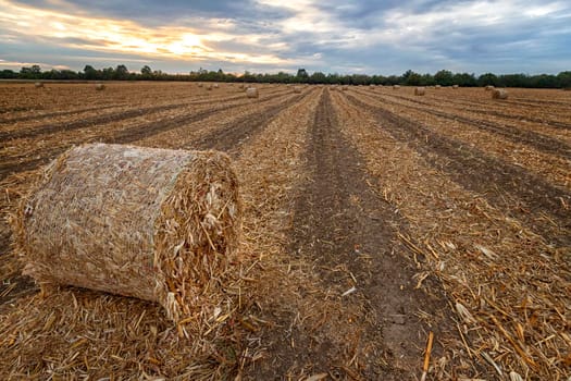 Scenic view at big bales hay on the field at sunset after harvest