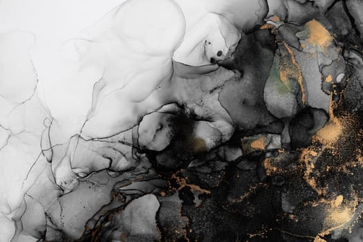 Marble ink abstract art from exquisite original painting for abstract background . Painting was painted on high quality paper texture to create smooth marble background pattern of ombre alcohol ink .