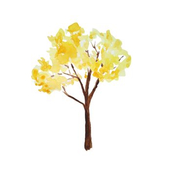 Watercolor hand drawn illustration of autumn fall tree in forest wood woodland park. Outdoor wild landscape. Nature camping design, fall activities in the open. Orange yellow colors eco maple season