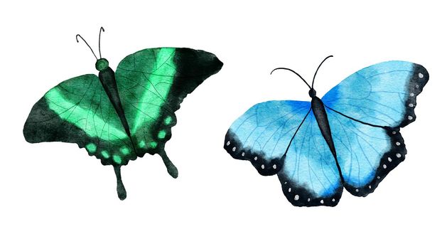 Watercolor hand drawn illustration of two bright butterfly insects. Natural forest butterflies in blue green black colors. Wild wildlife nature ecology concept