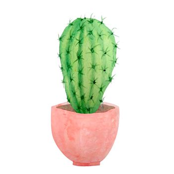 Watercolor cactus cacti succulent in ceramic pot. Potted house green natural plants exotic tropical flowers. Interior decoration botanical illustration vibrant design print