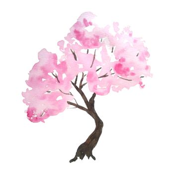 Watercolor hand drawn design illustration of pink cherry sakura tree in bloom blossom flowers. Hanami festival traditional japan japanese culture. Nature landscape plant. Spring march april concept