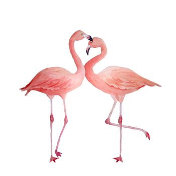 Two pink flamingo, romantic couple in love. Tropical exotic bird rose flamingos isolated on white background. Watercolor hand drawn realistic animal illustration. Summer bird for wedding cards invitation st valentine day