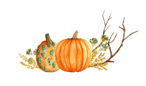 Watercolor hand drawn composition illustration of orange yellow butternut pumpkins, wood forest leaves and brown branches. For Halloween thanksgiving design in soft minimalism elegant style, woodland nature