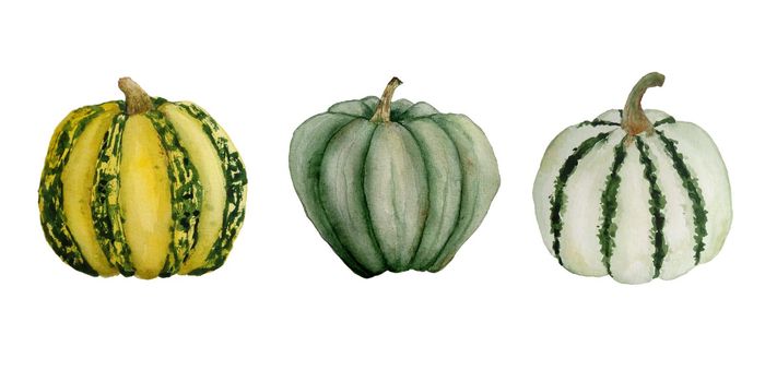 Watercolor hand drawn illustration template elemnts with green yellow striped pumpkins, organic farmers food ingridient. Halloween thanksgiving celebration design. Decoration autumn fall harvest label
