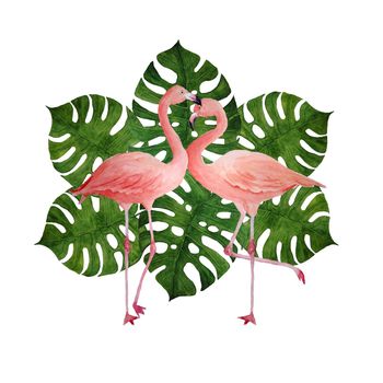 Two pink flamingo, romantic couple in love with monstera leaves. Tropical exotic bird rose flamingos isolated on white background. Watercolor hand drawn realistic animal illustration. Wedding cards invitation st valentine day