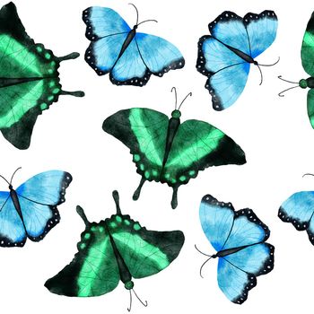 Watercolor hand drawn seamless pattern with butterfly dragonfly moth insects. Bright colorful blue green orange butterflies wild wildlife nature background design for textile wallpaper